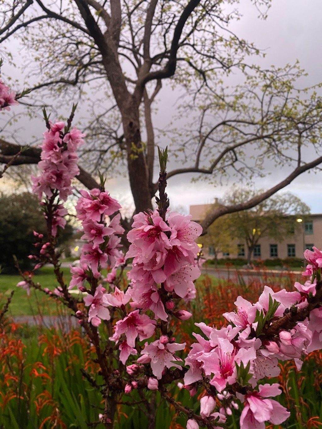 “No Selfless Good&nbsp;Deed”