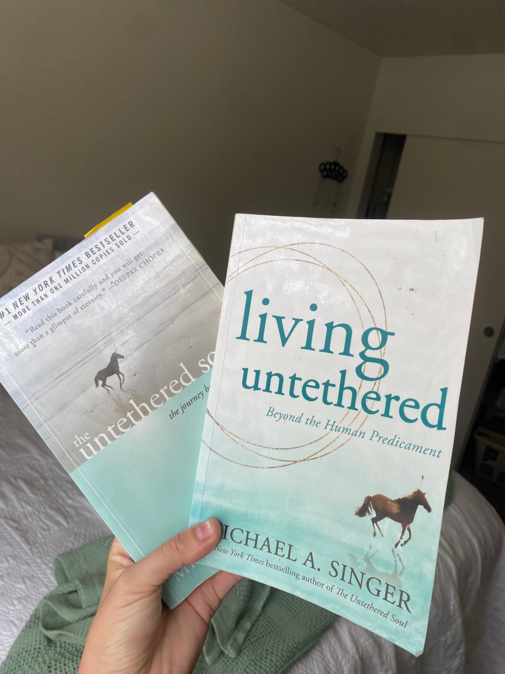 3 Things that Happened when I read The Untethered&nbsp;Soul
