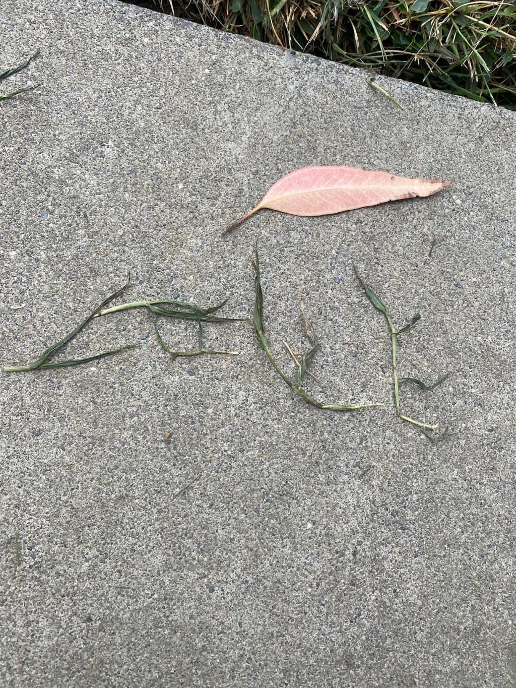 Love is an&nbsp;Anchor