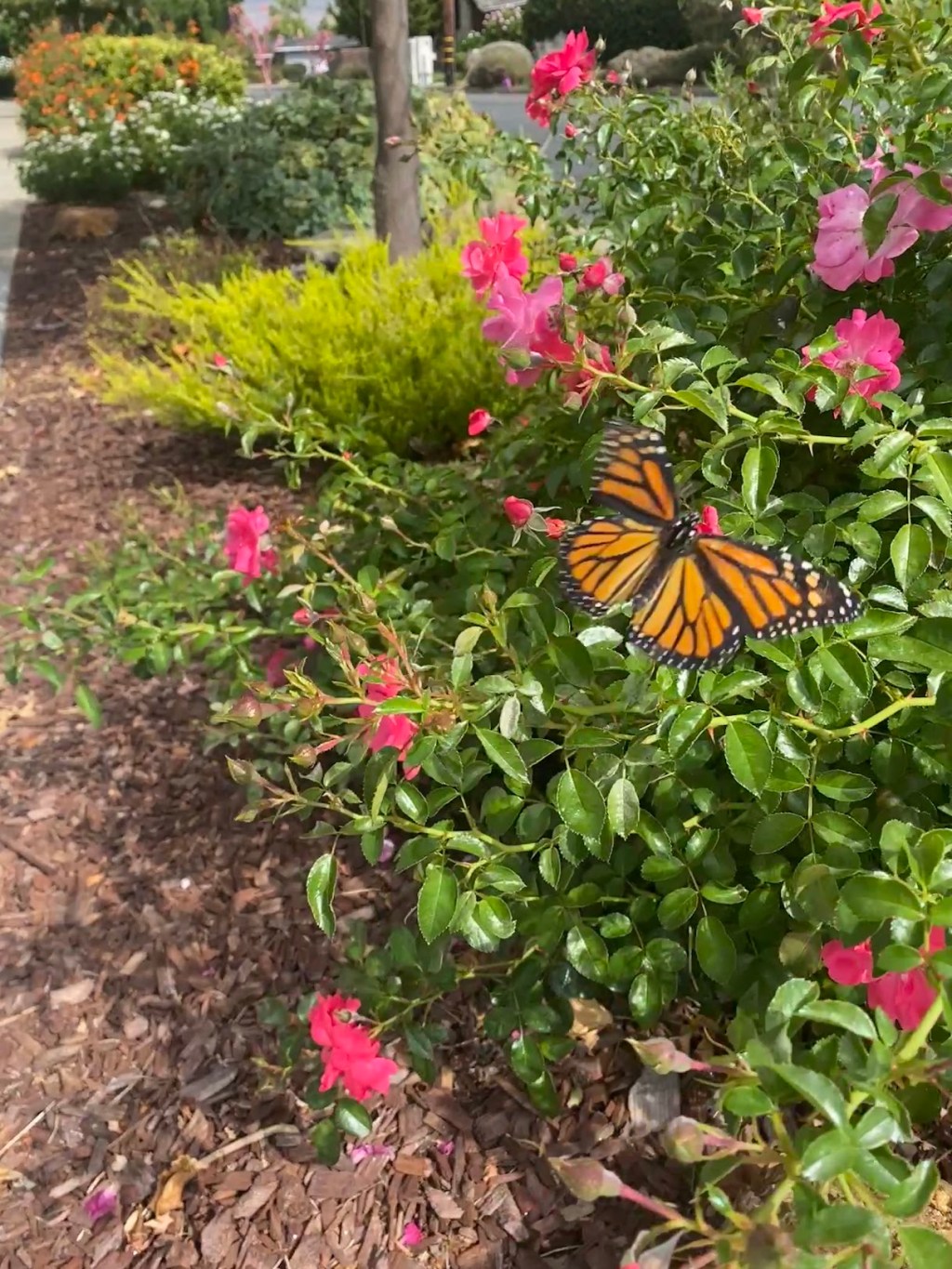 The Problem with the Phrase “Perfectly Imperfect”