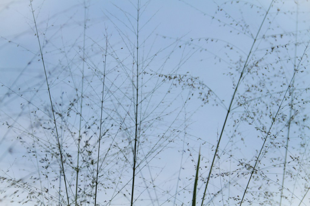 The Benefits of Stillness